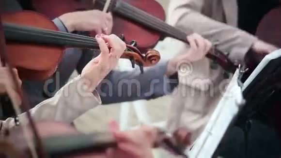 弹弦琴的女人小提琴大提琴视频的预览图