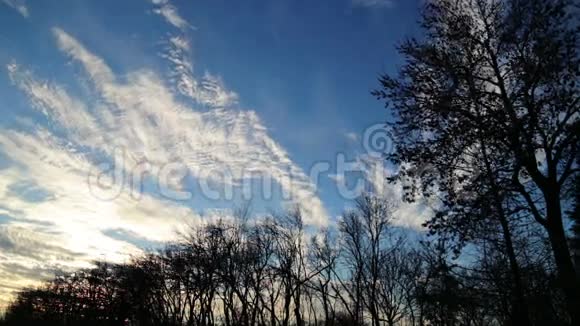 漂浮着美丽的云彩在树的上方视频的预览图