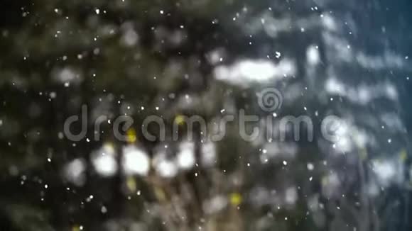 神奇的雪像灰烬一样飞起来视频的预览图
