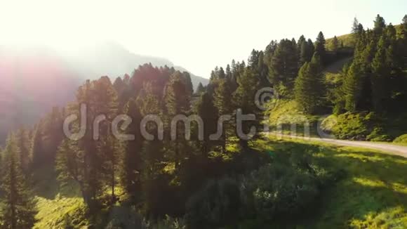 美丽日出野林山视频的预览图