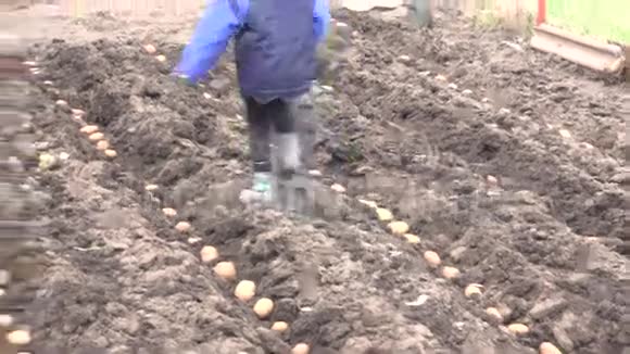 带着土豆种子的小女孩4K超高清超高清视频的预览图