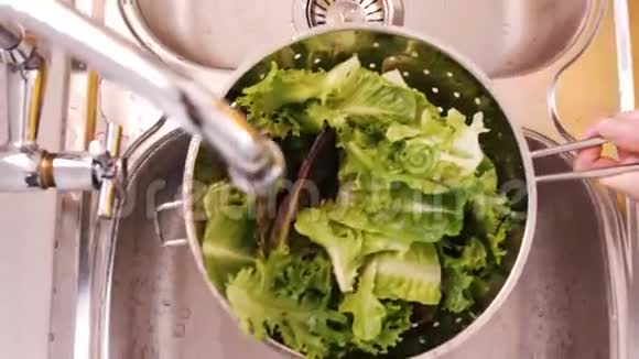 紧紧抓住一个洗生菜的女人视频的预览图