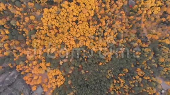 斯托尔比西伯利亚自然保护区秋季森林鸟瞰图视频的预览图