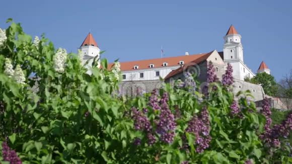 在布拉迪斯拉发中世纪城堡的背景下盛开的紫丁香视频的预览图