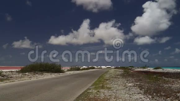 道湖加勒比海视频的预览图