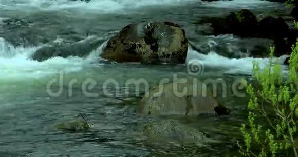 美国阿拉斯加凯奇坎镇鱿鱼之都小溪流视频的预览图