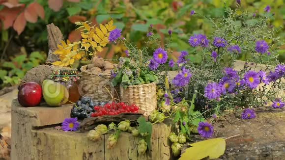 秋天的静物水果和鲜花视频的预览图