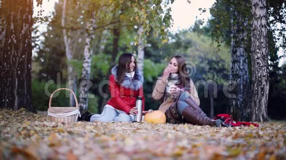 年轻的女人坐在野餐上在秋天公园的热水瓶里喝热茶女孩们围在南瓜旁边视频的预览图