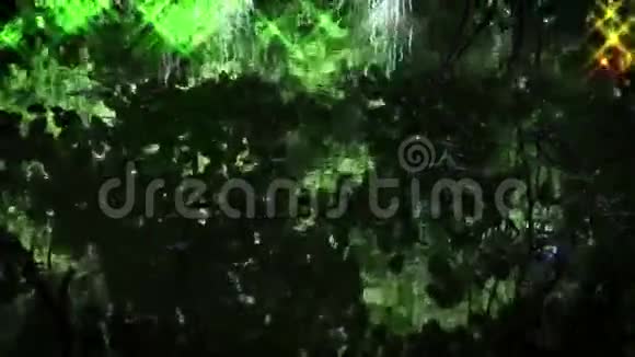 湖面树木倒影视频的预览图