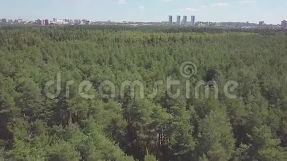 从松树和桦树茂密的混合树顶的绿色森林中拍摄空中观景摄像机剪辑空中无人机飞过视频的预览图