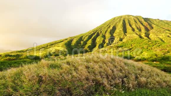 科科头瓦胡岛夏威夷马努鲁阿湾视频的预览图