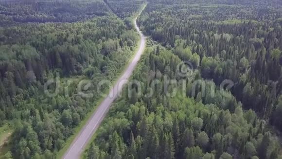 从松树和桦树茂密的混合树顶的绿色森林中拍摄空中观景摄像机剪辑空中景色飞过视频的预览图