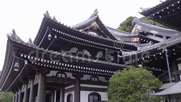 镰仓哈塞德拉寺美丽的屋顶视频的预览图