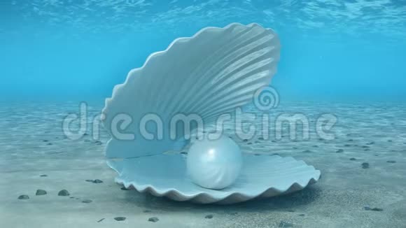 珍珠在贝壳里海底贝壳里美丽的珍珠阳光从上面照射到深处视频的预览图