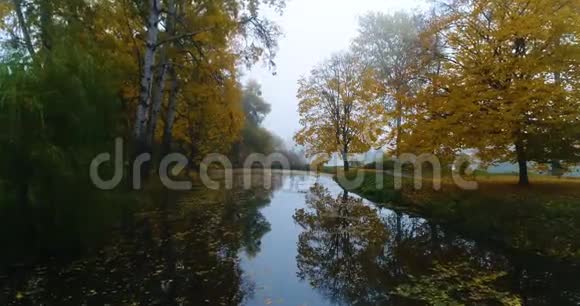 空中公园森林秋径湖池水视频的预览图