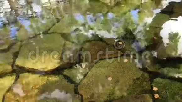 太阳在池塘底部反射硬币视频的预览图