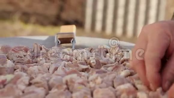 生的多汁的肉块牛肉猪肉羊肉放在男人手里的烤架上烹饪烧烤肉对大自然的影响视频的预览图