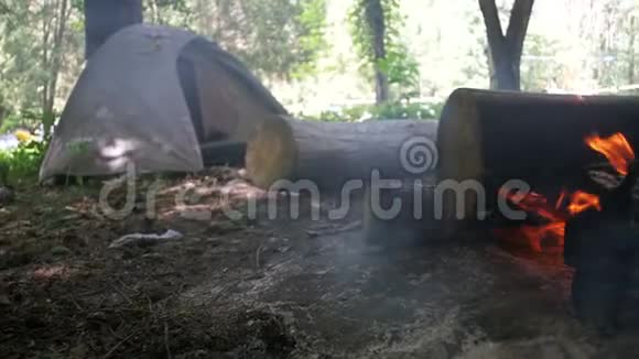 篝火在森林中的帐篷和原木中燃烧慢动作视频的预览图