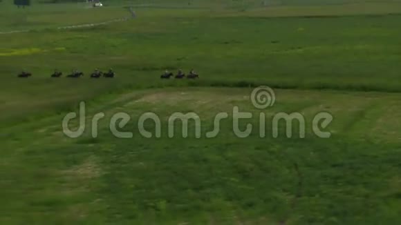 绿色山谷中牛仔的空中镜头视频的预览图