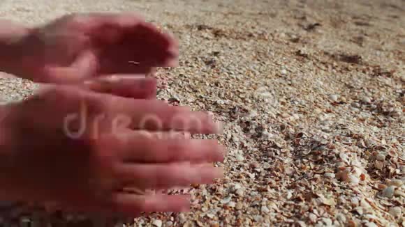 一个人的手拿贝壳沙滩上的沙子视频的预览图