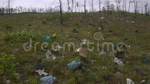 垃圾堆放在森林里环境污染森林树木视频的预览图