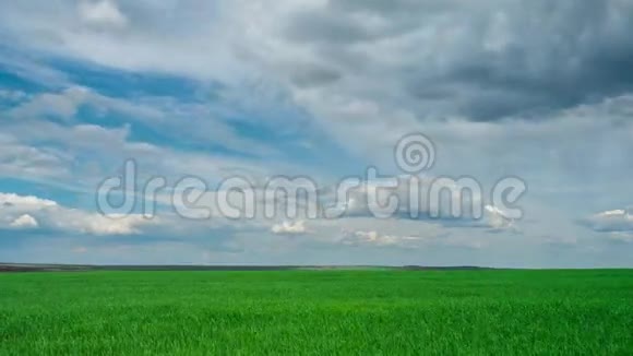 绿色的田野和多云的天空美丽的云浮在绿色明亮的天空上美丽的风景时间流逝富有表现力视频的预览图