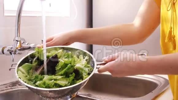 紧紧抓住一个洗生菜的女人视频的预览图
