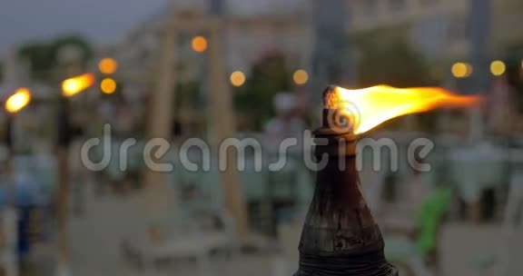 晚上燃烧海滩火炬视频的预览图