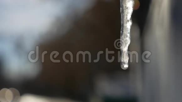 冰柱滴下的水滴滴落在抽象的蓝色冬天冰冻的背景下视频的预览图