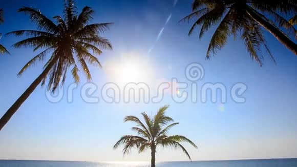 摄像机从下太阳蓝天拍摄到棕榈树视频的预览图