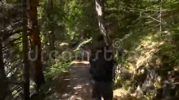 带背包的旅行者穿过森林视频的预览图