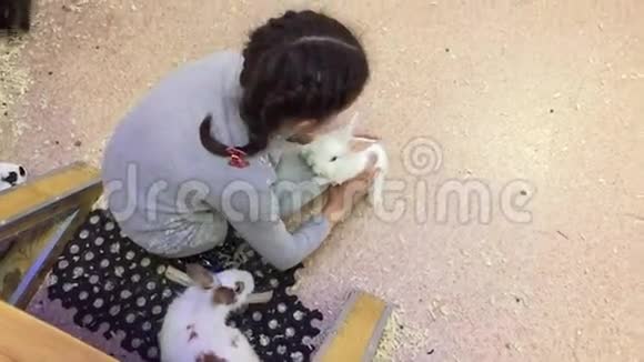 女孩和兔子少女抚摸小兔子联系动物园视频的预览图