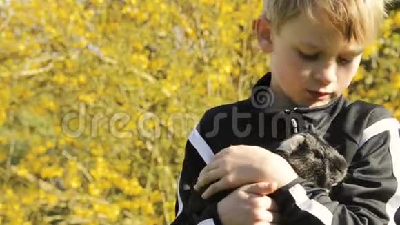 一个金发男孩抱着一只豚鼠玩视频的预览图
