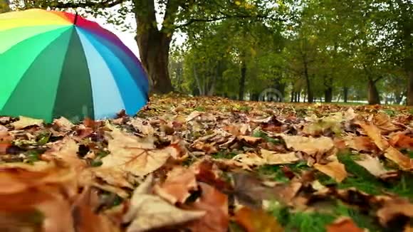 一把被遗忘的彩色雨伞躺在地上上面覆盖着秋天公园的叶子视频的预览图