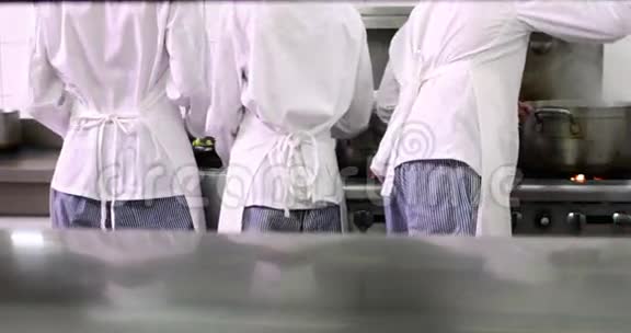 繁忙厨师工作后景视频的预览图