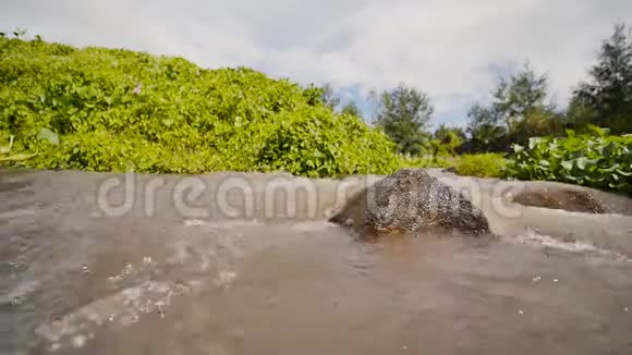 源于马永火山的山地火山河勒加兹皮菲律宾在运动中射击视频的预览图