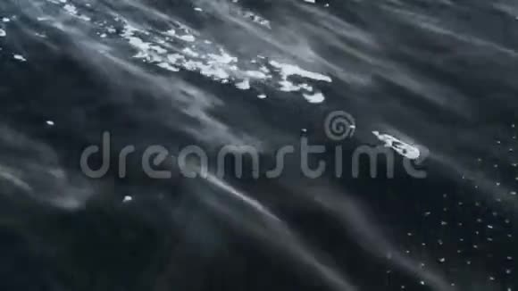 暴风雪在透明的冰面上视频的预览图