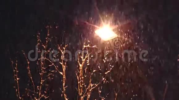 黄色的路灯和厚厚的降雪对黑暗的天空视频的预览图