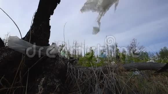 垃圾堆放在森林里环境污染森林树木视频的预览图