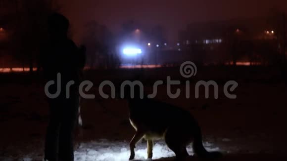 那个女孩在雪地上和德国牧羊犬玩耍视频的预览图