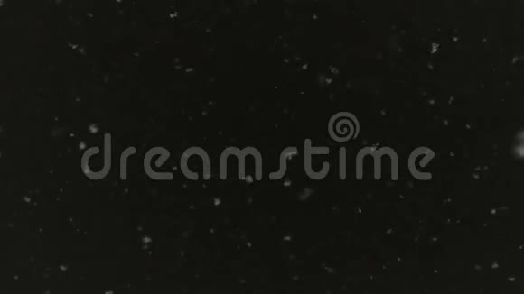 雪花在漆黑的夜空背景下翩翩起舞冬季暴风雪风向视频的预览图