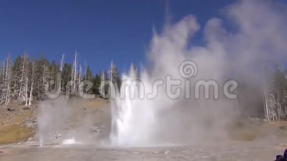 大喷泉喷发视频的预览图