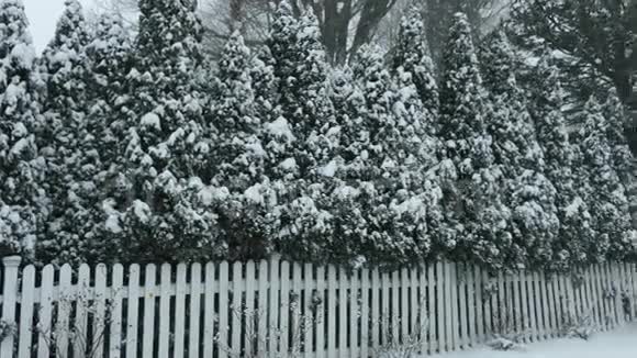 路上树木覆盖的全景大雪视频的预览图
