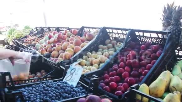 在街市集选卖水果视频的预览图