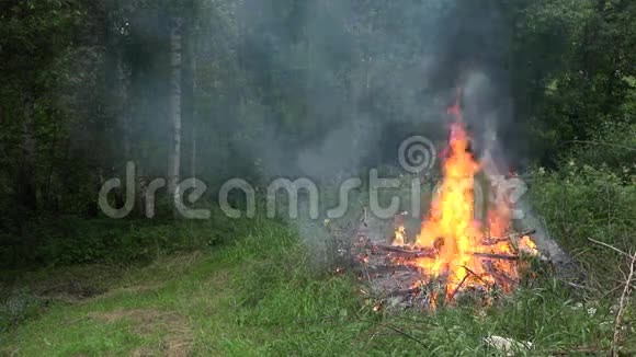 夏天火焰燃烧着森林树木4K视频的预览图