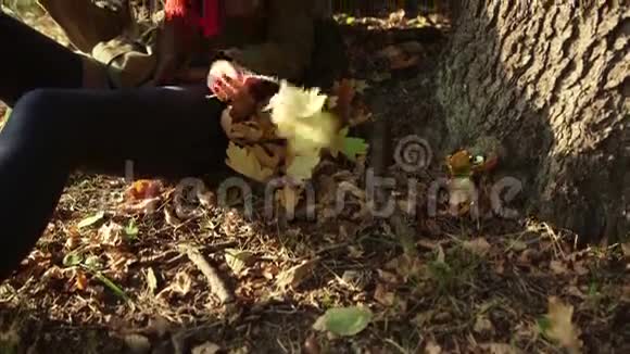 美丽的年轻白种人金发女孩发送短信在秋季公园视频的预览图