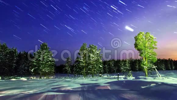 星星在冬天的森林里线路时间流逝4视频的预览图
