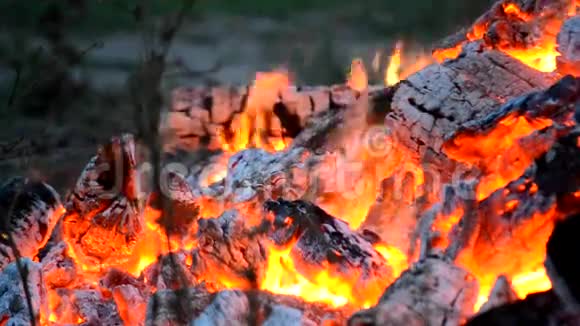 一场熊熊燃烧的篝火的顶部视频的预览图