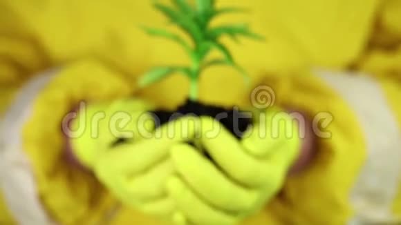 穿黄色防护服的人手里拿着泥土和绿色的年轻植物视频的预览图