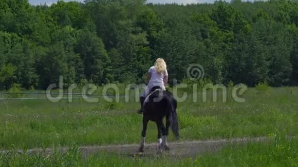 一个穿着白色头发和白色衣服的漂亮女孩骑着一匹黑色棕色的种马女孩让马表演各种美丽视频的预览图